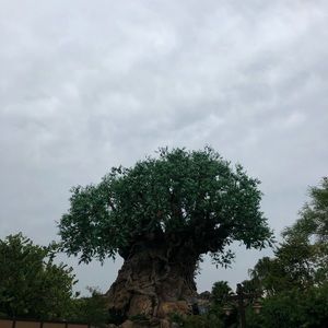 Meet your Posher, Maya